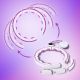 11. HHM17 HULA HOP WHITE/VIOLET WITH MAGNETS AND WEIGHT + HMS COUNTER