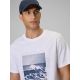3. Men's regular printed T-shirt 4F 4FWSS26TTSHM2783-10S