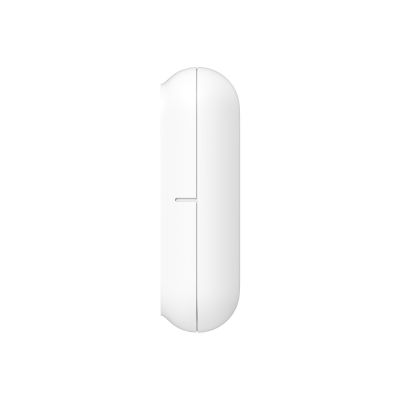 4. Door and Window Sensor P2 (DW-S02D)
