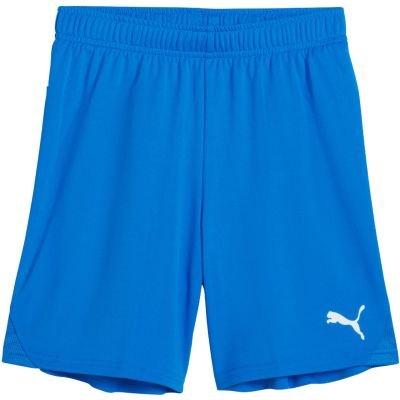 Puma Team Goal kids' shorts blue 705753 02