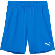 Puma Team Goal kids' shorts blue 705753 02