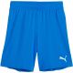 Puma Team Goal kids' shorts blue 705753 02