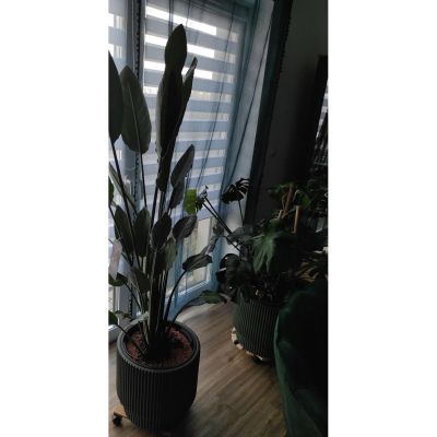 14. MILLY FLOWER POT DIAMETER 24 CM COPPER