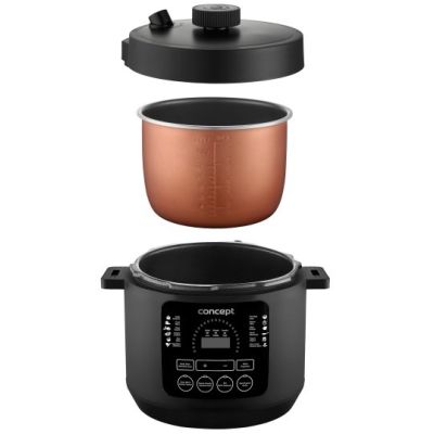 6. Multicooker CK6001 CONCEPT