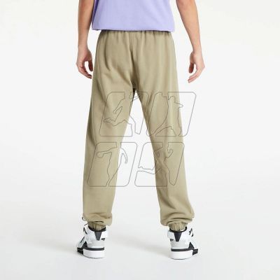 3. adidas Originals Trf A33 Sp M HI5270 pants