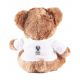 2. Masters Bear mascot 13910-05