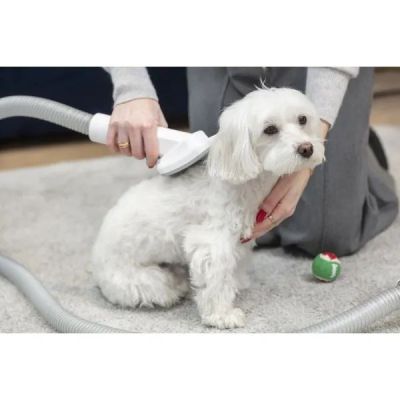 16. MPM MOD-1000 device for home care of dogs and cats