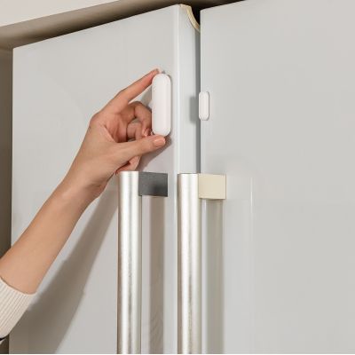 9. Door and Window Sensor P2 (DW-S02D)