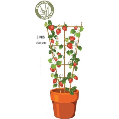 15. PROGARDEN BAMBOO PLANT SUPPORT LADDER 75 CM 3 PCS