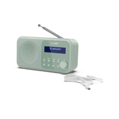 2. Sharp DR-P420 Portable Digital Green
