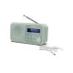 2. Sharp DR-P420 Portable Digital Green