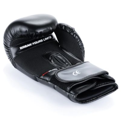 16. 10oz Boxing Gloves - Eclipse - Origin Series