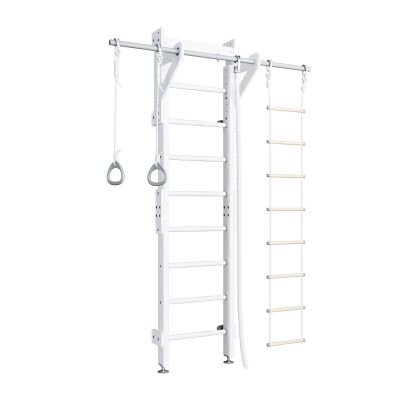 Wallbarz Eco 2.1 EG-WW-Eco2.1 gymnastic ladder