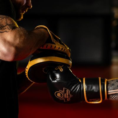 16. Multi-layer boxing gloves - ProFighter Gold - Legacy Series