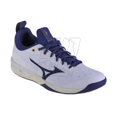 Mizuno Wave Luminous 2 M V1GA212043 volleyball shoes