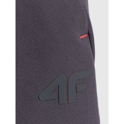 9. Men's quick-drying training pants 4F 4FRSS26TFTRM1411-23S