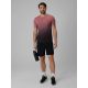 Men’s Quick-Drying Training Shorts 4F 4FRSS26TFSHM1859-20S