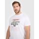 5. Men's regular printed T-shirt 4F 4FRAW25TTSHM3612-10S
