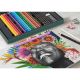 4. Faber-Castell Polychromos & Pitt Graphite Matt Set Multicolor 48 pcs.