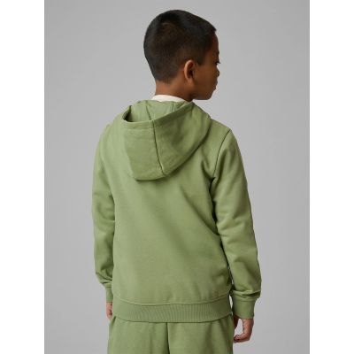 2. Boy's regular hooded sweatshirt 4F 4FJRSS26TSWSM2749-47S
