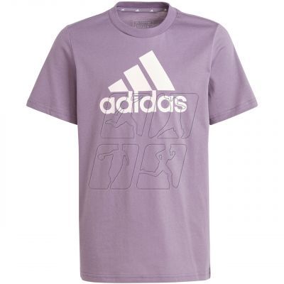 2. Adidas Essentials Big Logo Cotton Tee Jr IJ7061