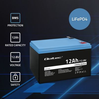 2. Qoltec LiFePO4 Lithium Iron Phosphate Battery 12.8V 12Ah 153.6Wh BMS