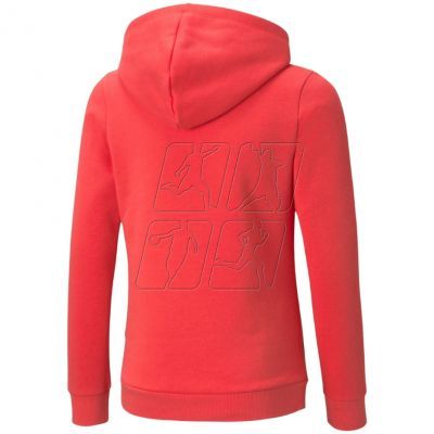 2. Puma ESS Logo Hoodie FL Jr 587031 35