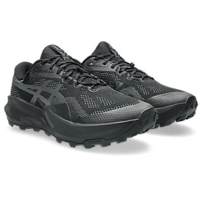 4. ASICS Gel-Trabuco 14 GTX Men's Low-Cut Running Shoes, Black (1011C165-002)