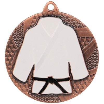9. Bronze medal judo/karate