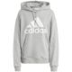 3. adidas Essentials Big Logo Oversized French Terry Hoodie W IC9865