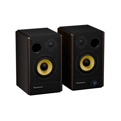 2. GENESIS ARSEN 402BT 2-Way Brown Wired and Wireless 60 W