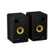 2. GENESIS ARSEN 402BT 2-Way Brown Wired and Wireless 60 W