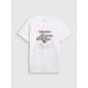 7. Men's regular printed T-shirt 4F 4FRAW25TTSHM3612-10S