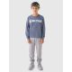 4. Boys' jogger sweatpants 4F Junior 4FJRAW24TTROM1175-25S