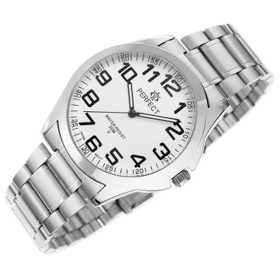 2. PERFECT P012-01 Men's Watch