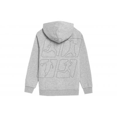 3. Sweatshirt 4F Jr 4FJSS23TSWSM220 cool light gray