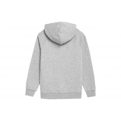 3. 4F Jr sweatshirt 4FJSS23TSWSM220 cool light gray