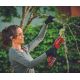 2. EINHELL GE-GS 18/150 Li-Solo 3 Cordless Branch Saw