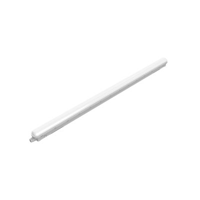 2. Philips ProjectLine Waterproof Lighting