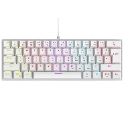 3. RAMPAGE MECHANICAL KEYBOARD PLOWER K60 White