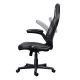4. TRUST GXT703 RIYE GAMING CHAIR BLACK gaming chair (25128)