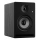 Prodipe Pro5 V4 2-Way Black Wired 75W