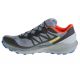 2. Shoes Salomon Sense Ride 4 GTX M 413778