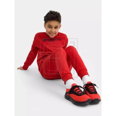 9. Sweatshirt 4F Jr. 4FJSS23TSWSM222-62S
