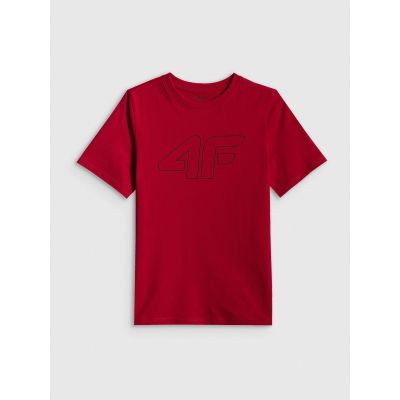 6. Boy's regular printed T-shirt 4F 4FJRSS26TTSHM3599-10S