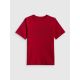 6. Boy's regular printed T-shirt 4F 4FJRSS26TTSHM3599-10S