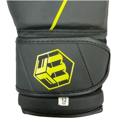 27. RPU-BLACK 012325-0210 boxing gloves