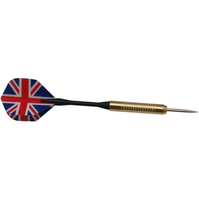 19. OUTDOOR CARDBOARD DART 45CM AND 6 ENERO DARTS