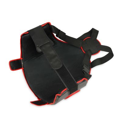 5. DBX Guardian Pro Torso + Thigh Protector Set