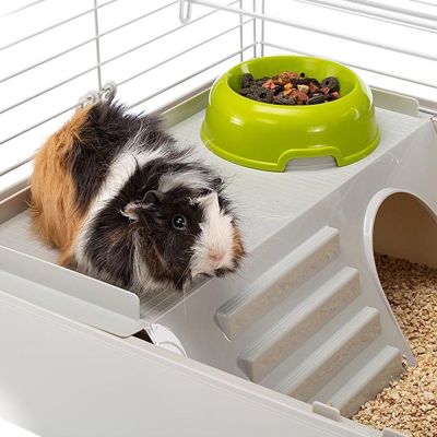 4. CAVIE 80 (x1) - cage for guinea pigs